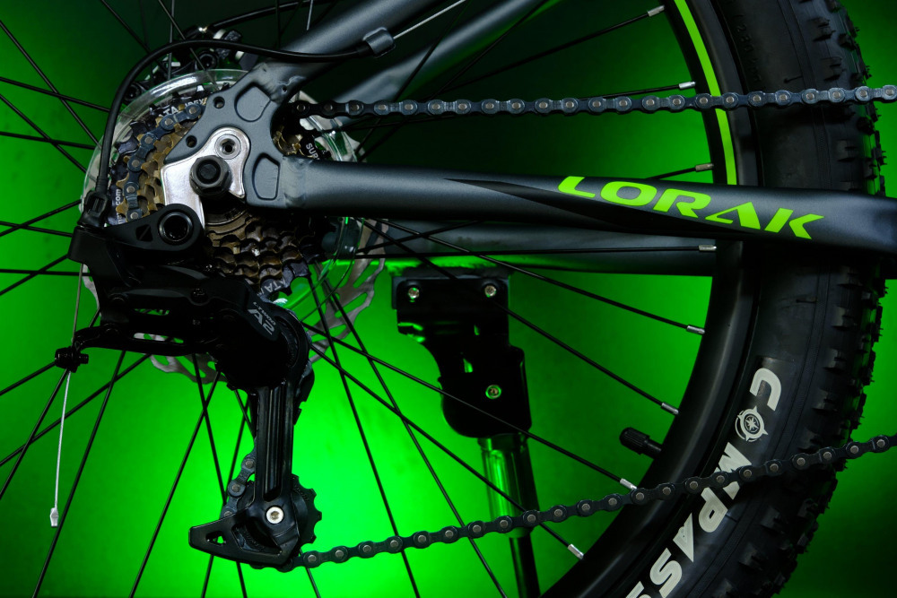 LORAK Safe PLUS 24 Серебристый/Зелёный