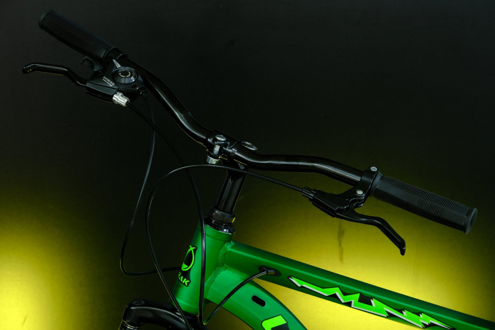 LORAK Fast 24 Матовый Зелёный